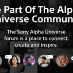 https://community.alphauniverse.com/forums/topic/3901-1-888-839-0555-united-airlines-flight-check-inguide-thoroughly/