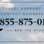 https://konfhub.com/full-list-of-united-airlines-customer-service-usa-phone-numbers-4bfe29a0