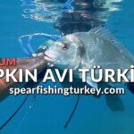 https://www.spearfishingturkey.com/forum/zipkinla-balik-avi-soru-cevap/full-list-of-finnair-customer-contact-numbers-in-usa-a-ultimate-step-by-step-guide/