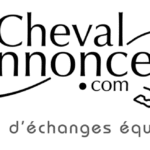 https://www.chevalannonce.com/forums-13507104-expedia-customer-support-usa-phone-list-faq#13507104